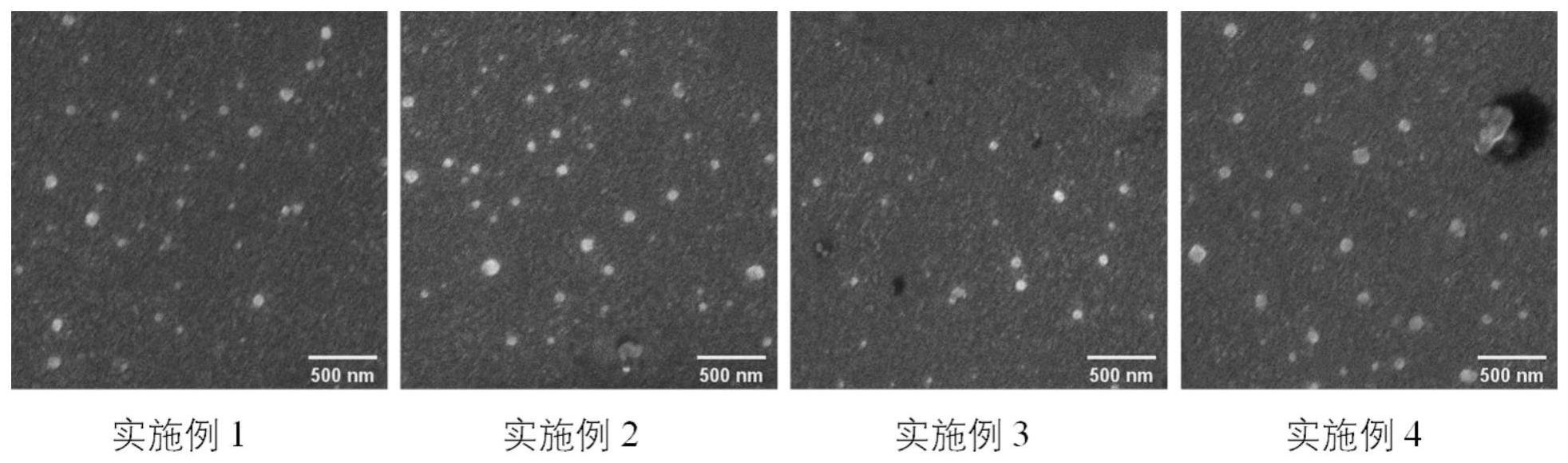 一种丹参酮纳米凝胶及其制备方法和应用