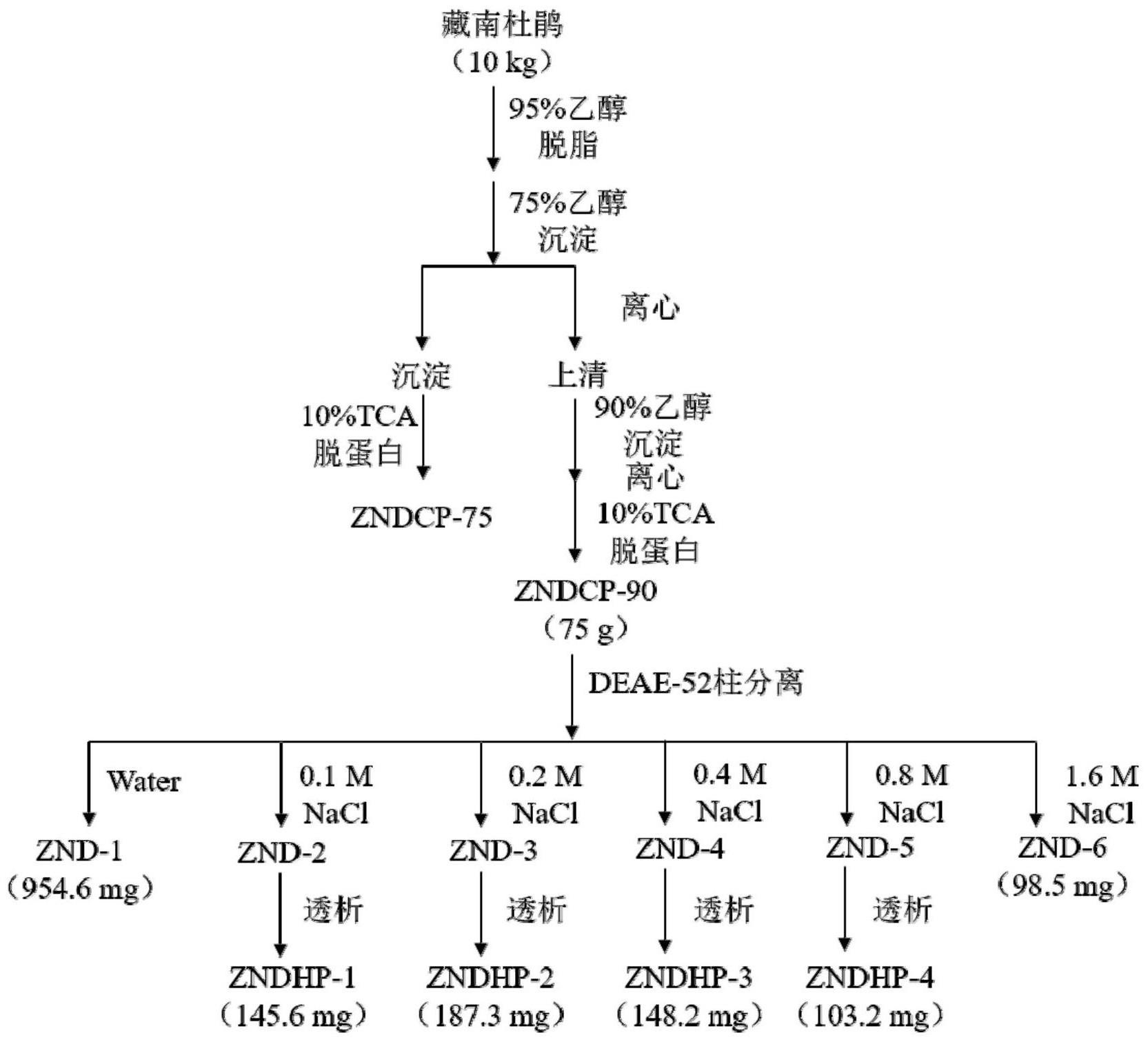 藏南杜鹃多糖及其制备方法与应用