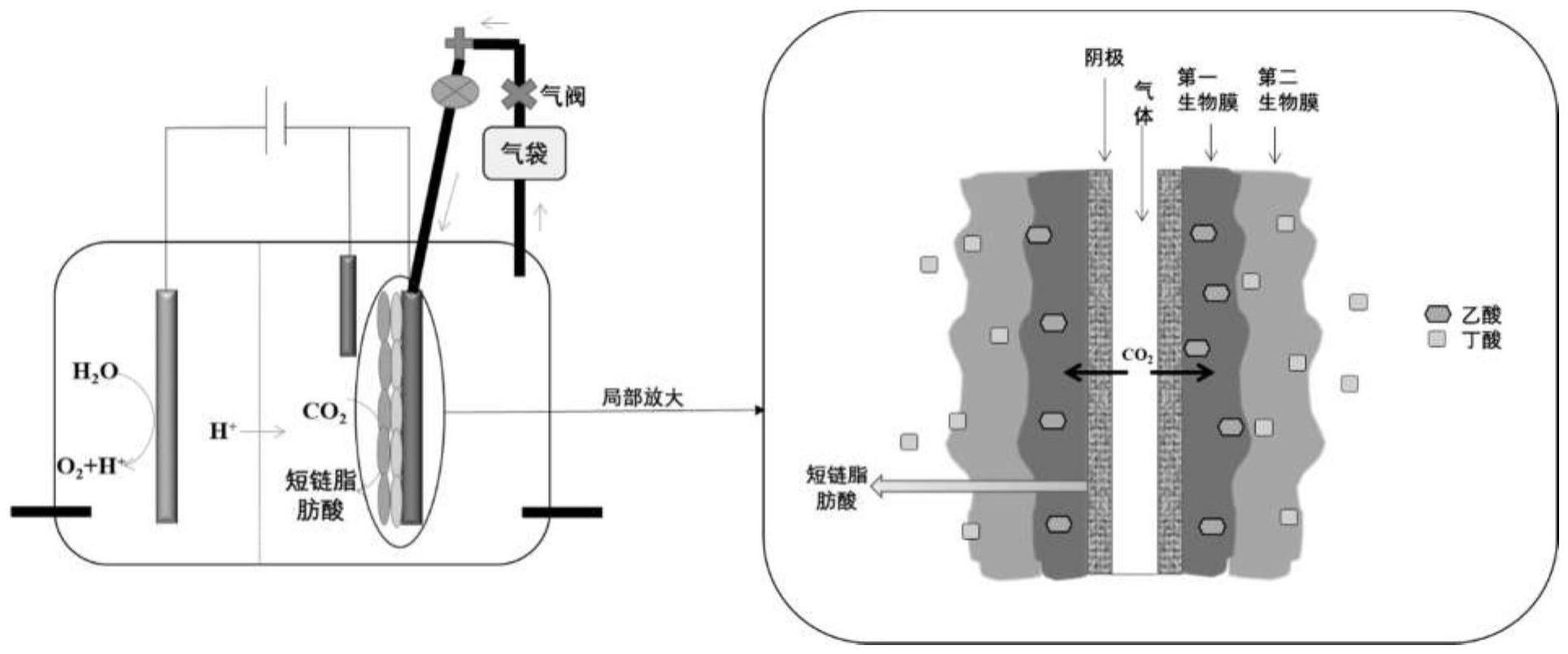 一种构建多层生物膜电极的方法及多层生物膜电极