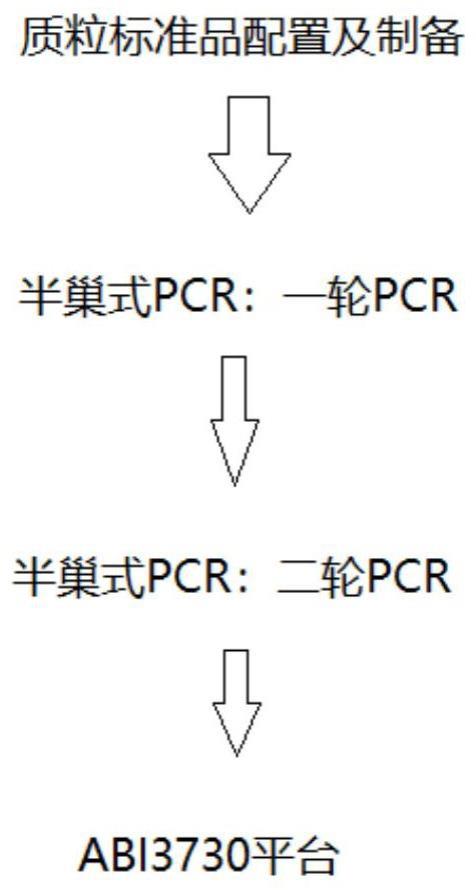 一种检测呼吸道病毒的半巢式PCR引物组合、试剂盒的制作方法