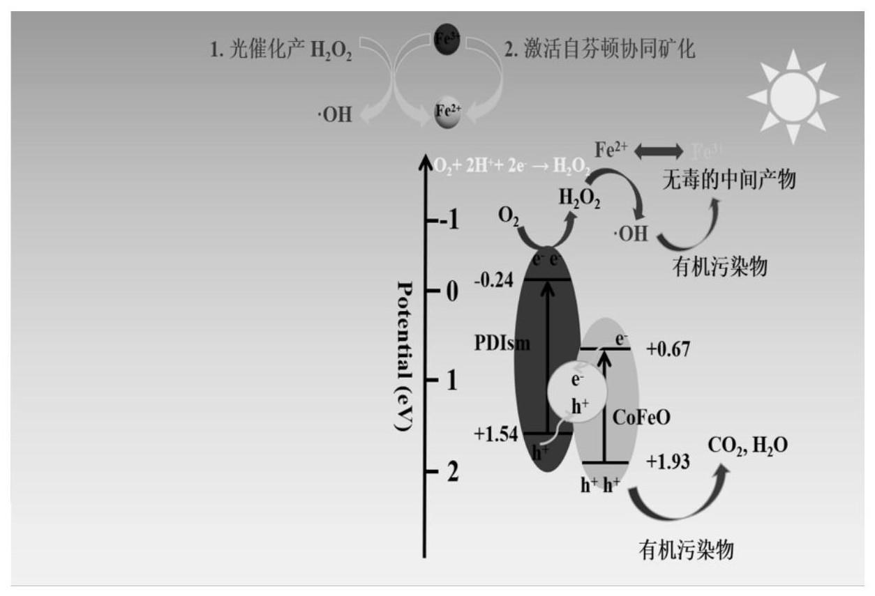 基于钴铁氧化物/聚苝酰亚胺超分子的光催化自芬顿水处理方法与流程