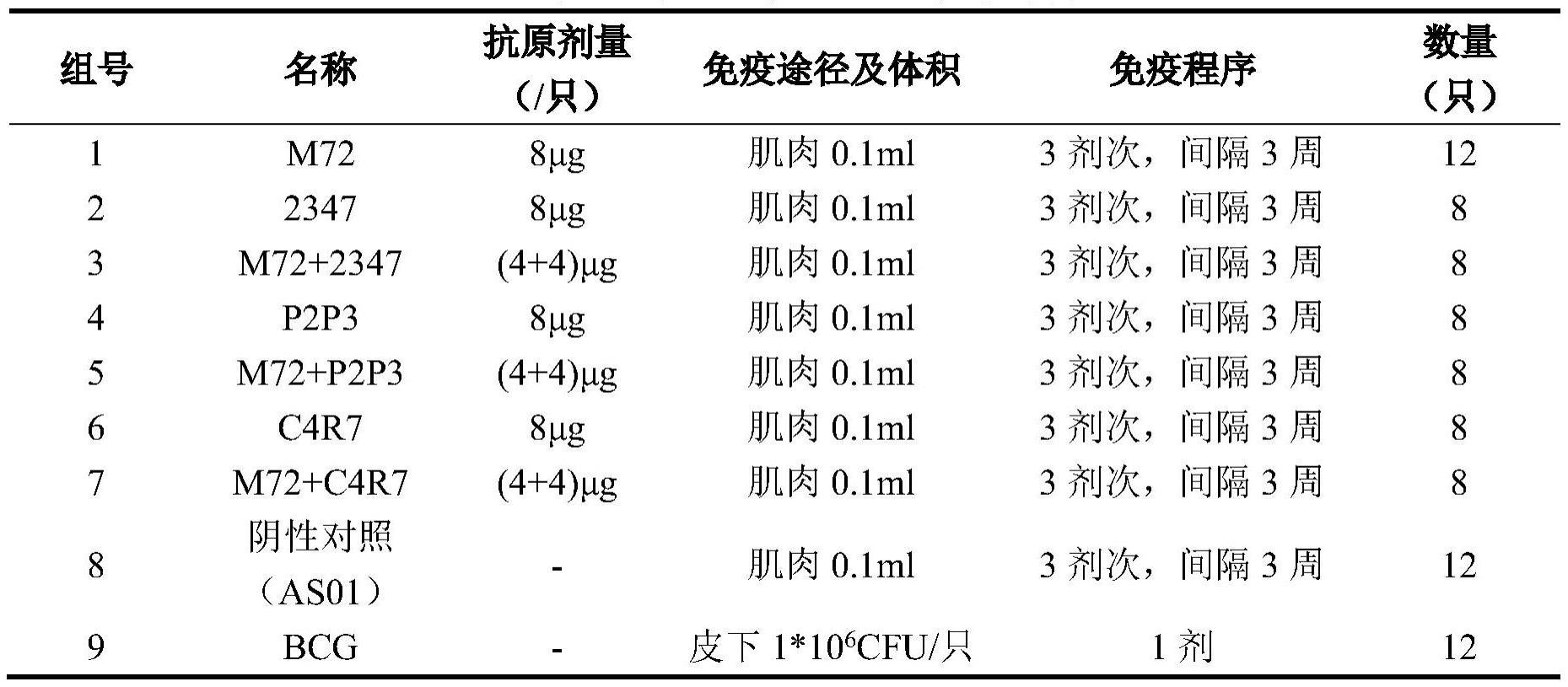 重组结核分枝杆菌抗原、其制备方法和应用与流程