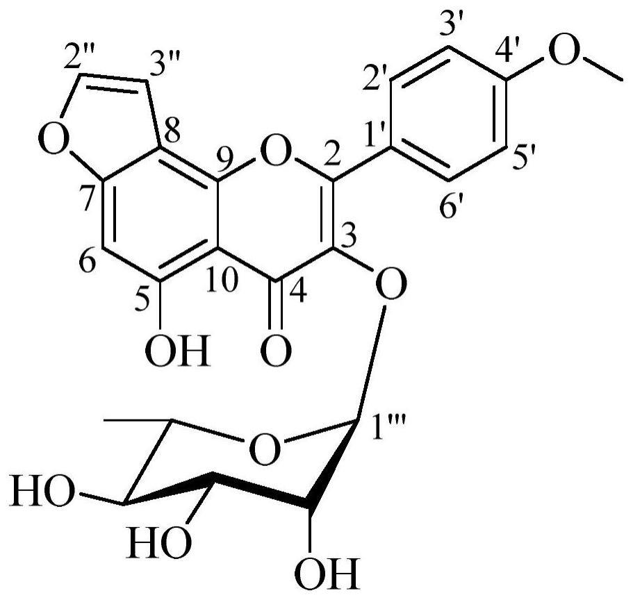 一种从箭叶淫羊藿中制备的箭藿苷E及其应用