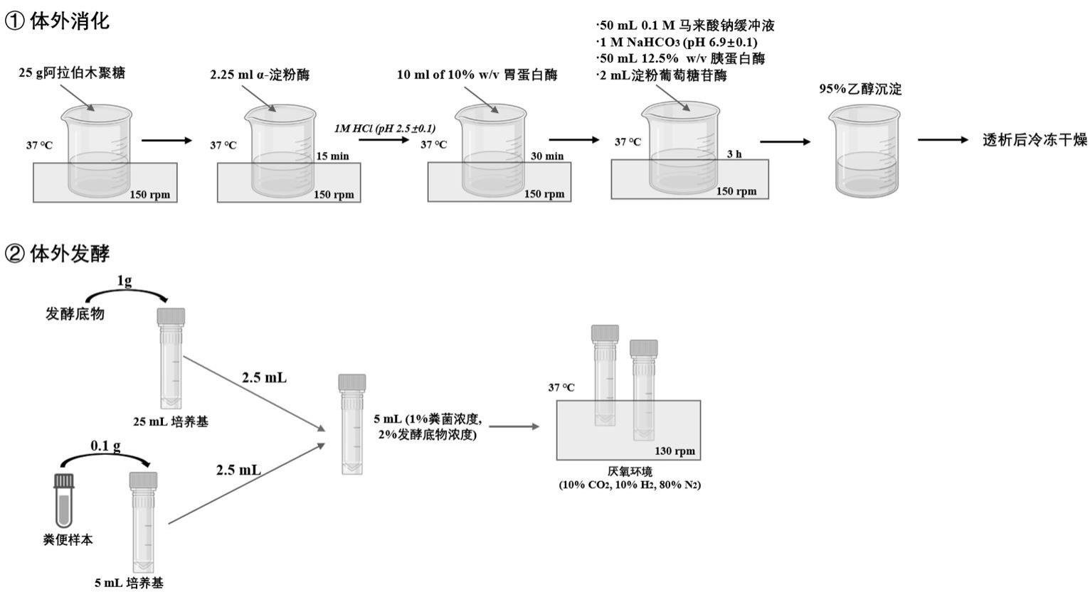 评估阿拉伯木聚糖对肠道微生态调节作用的方法及其应用