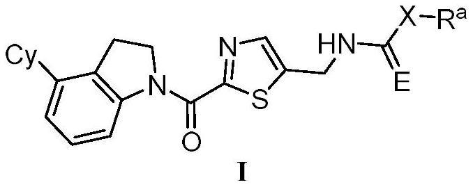 含噻唑结构的吲哚啉类化合物及其制备方法和应用