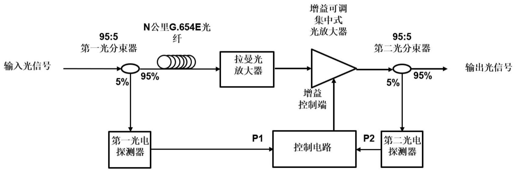 一种自适应拉曼增益补偿系统及方法与流程