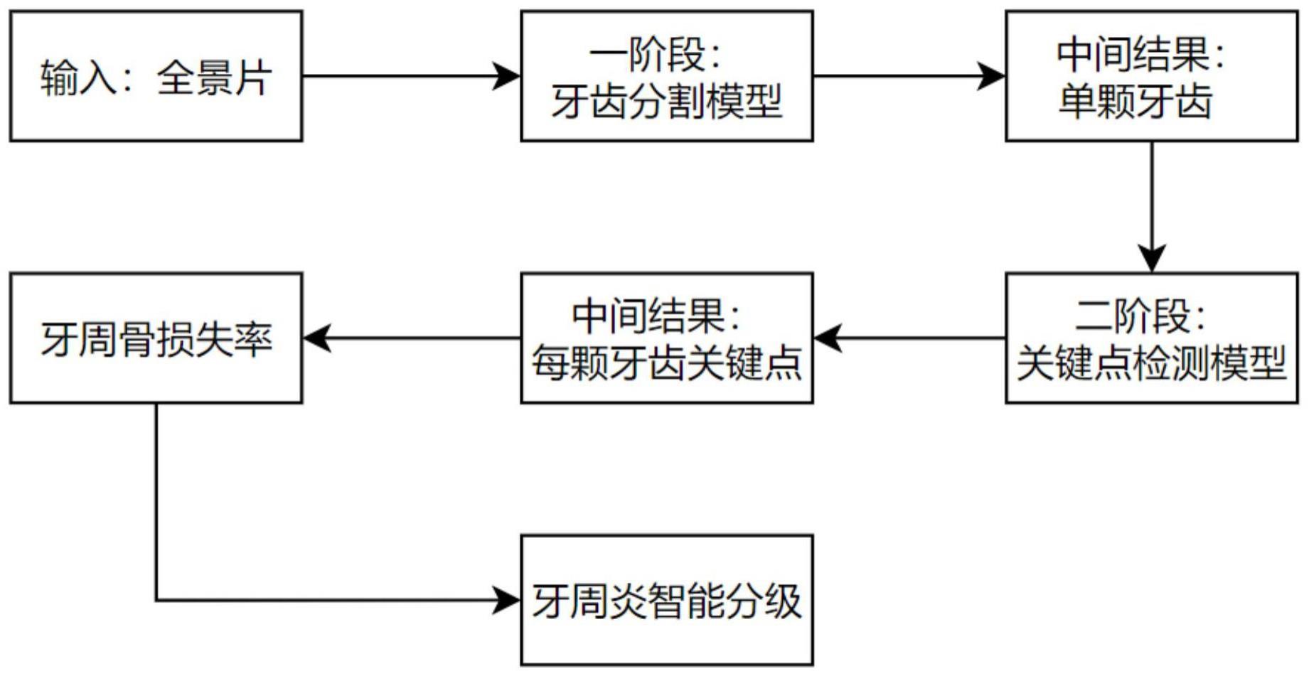 基于二阶段深度学习模型的全景片牙周炎智能分级系统