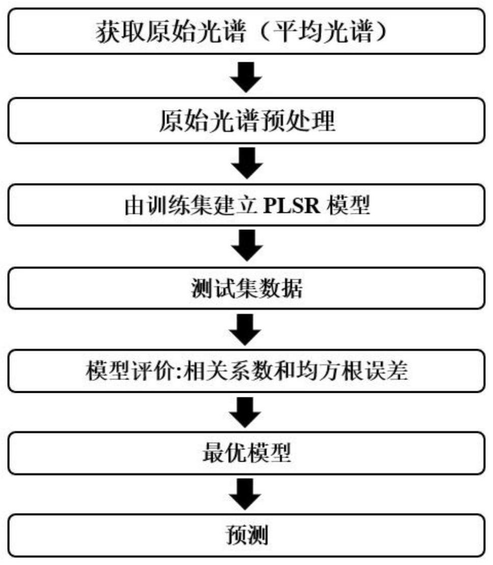 一种快速检测牛肉表面TVC的方法