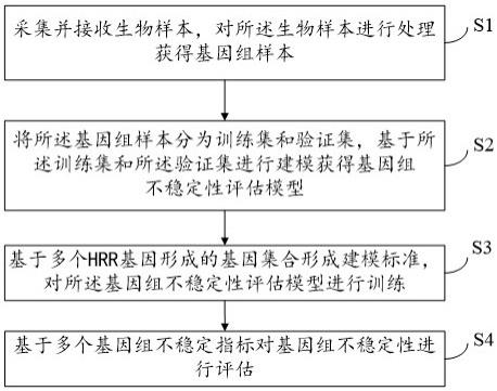 一种基于机器学习的基因组不稳定性评估方法及系统与流程