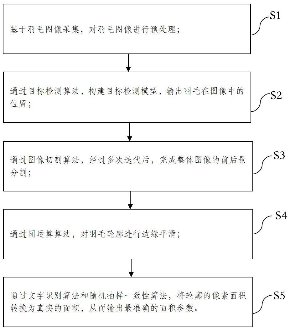 一种禽类羽毛面积参数的检测方法