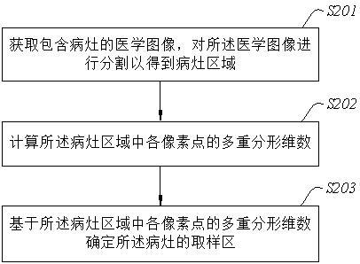 确定病灶取样区的方法、装置、电子设备及可读介质与流程