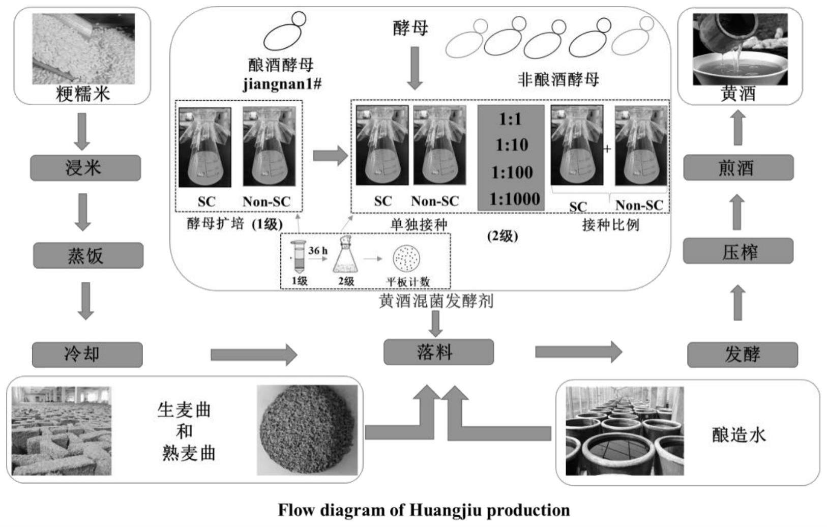 一种非酿酒酵母与酿酒酵母共酵的酿造方法