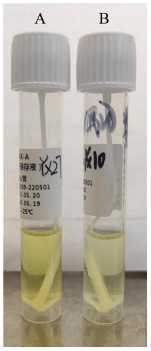 前处理试剂组合物用于制备检测呼吸道病原体的质谱检测试剂盒的用途的制作方法