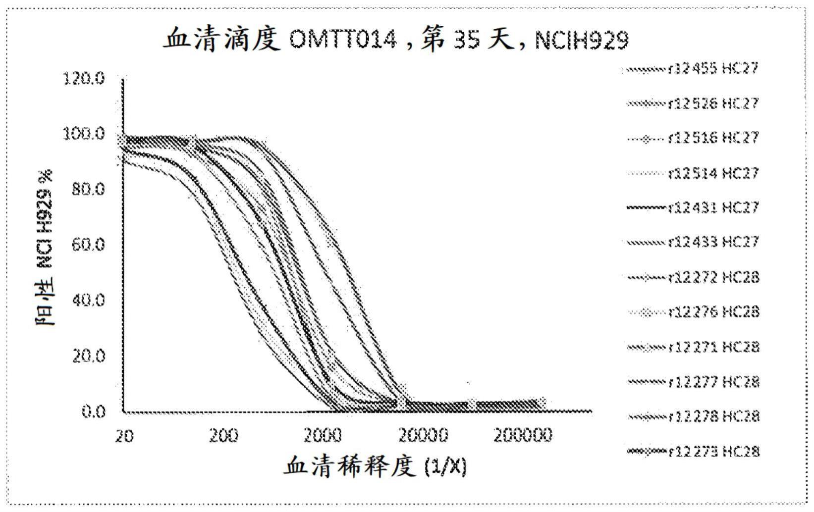 仅有重链的抗BCMA抗体的制作方法