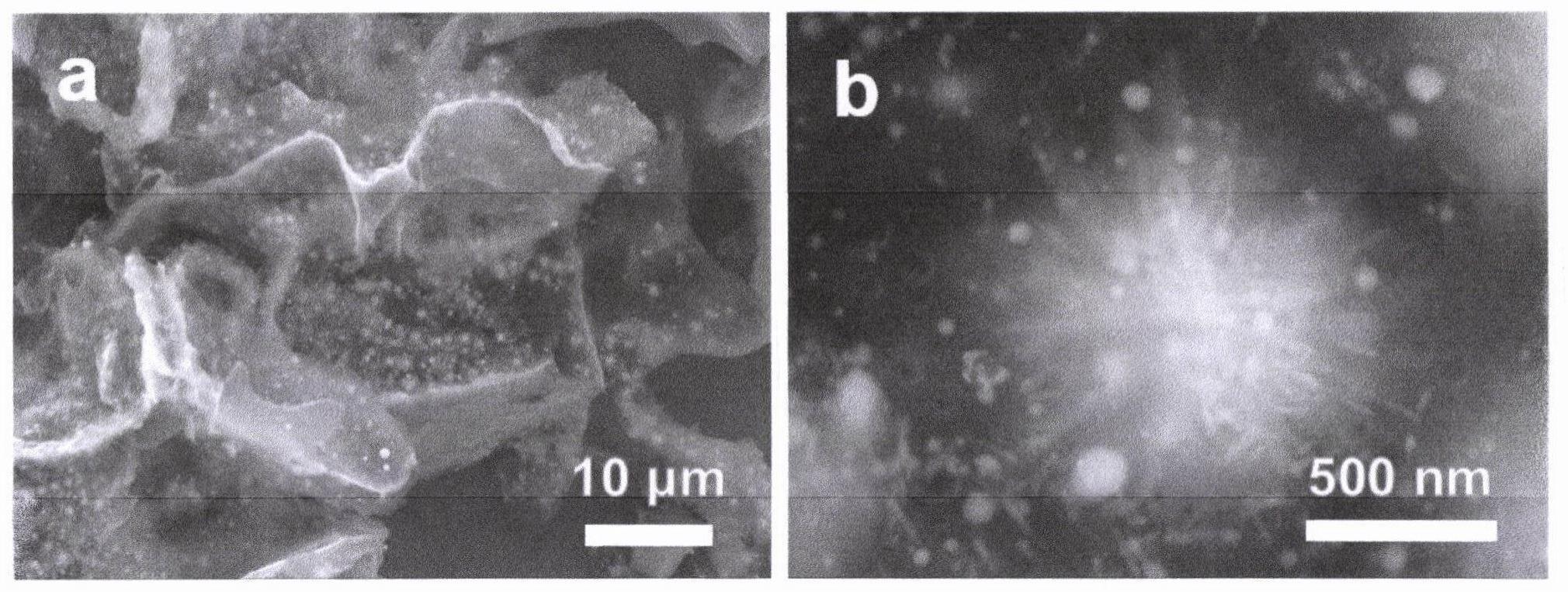 一种氮掺杂碳骨架锚定铋纳米花电极材料的制备方法及其在钠离子电池负极上的应用
