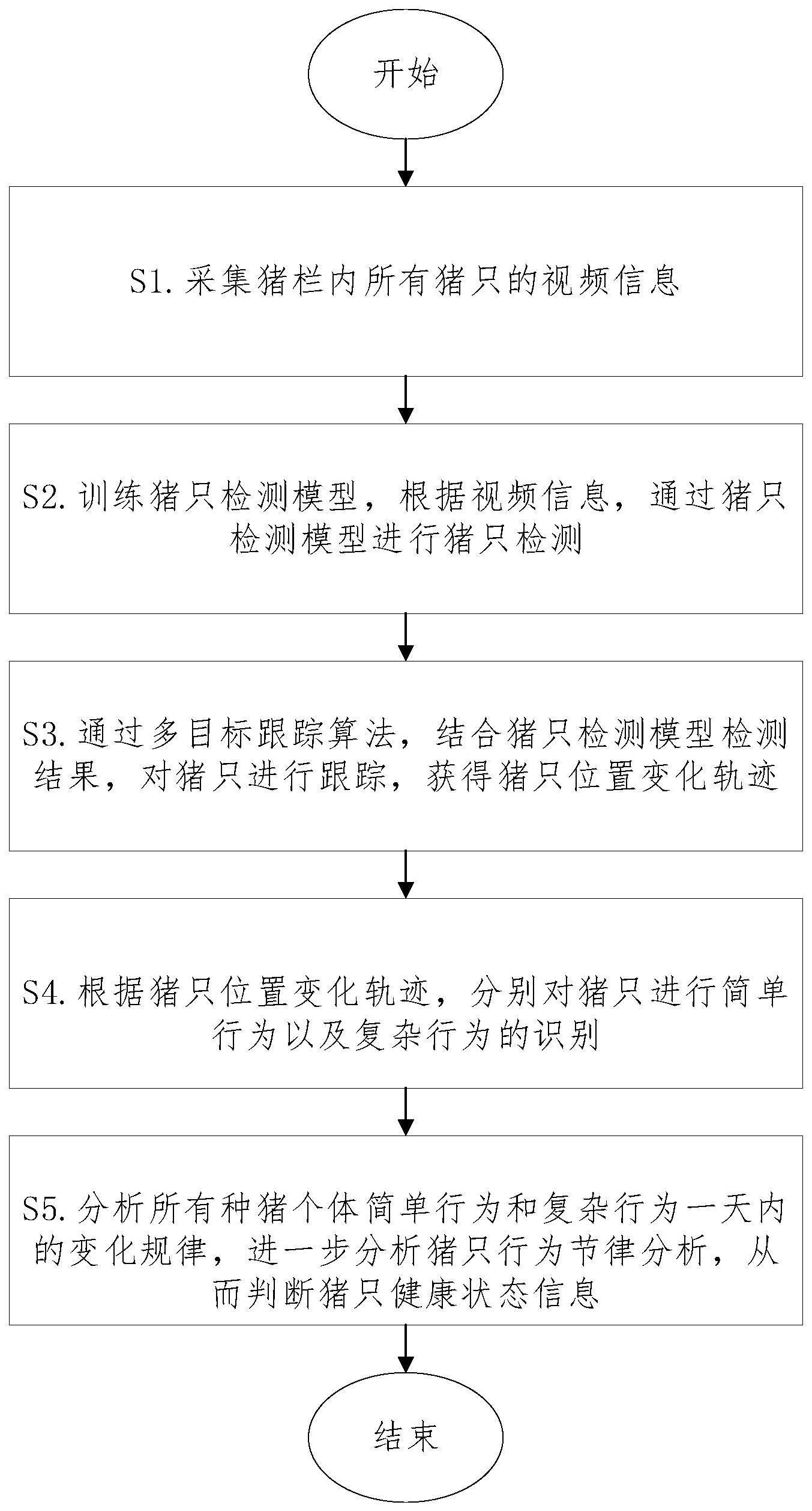 一种基于目标跟踪的猪只行为节律分析方法及系统