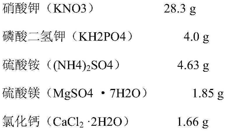 水稻基因OsNAL12在调控水稻粒形和提高千粒重中的应用