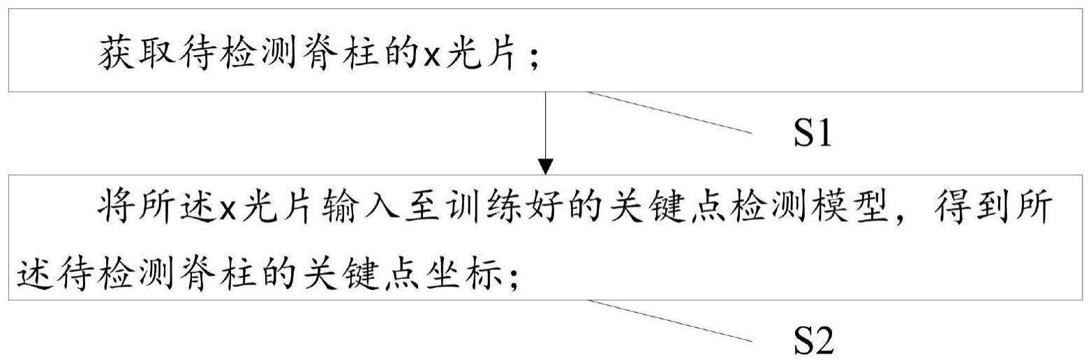 一种脊柱关键点检测和Cobb角计算方法、系统