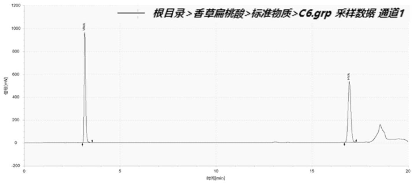 尿液中香草扁桃酸和高香草酸的检测方法及其应用与流程