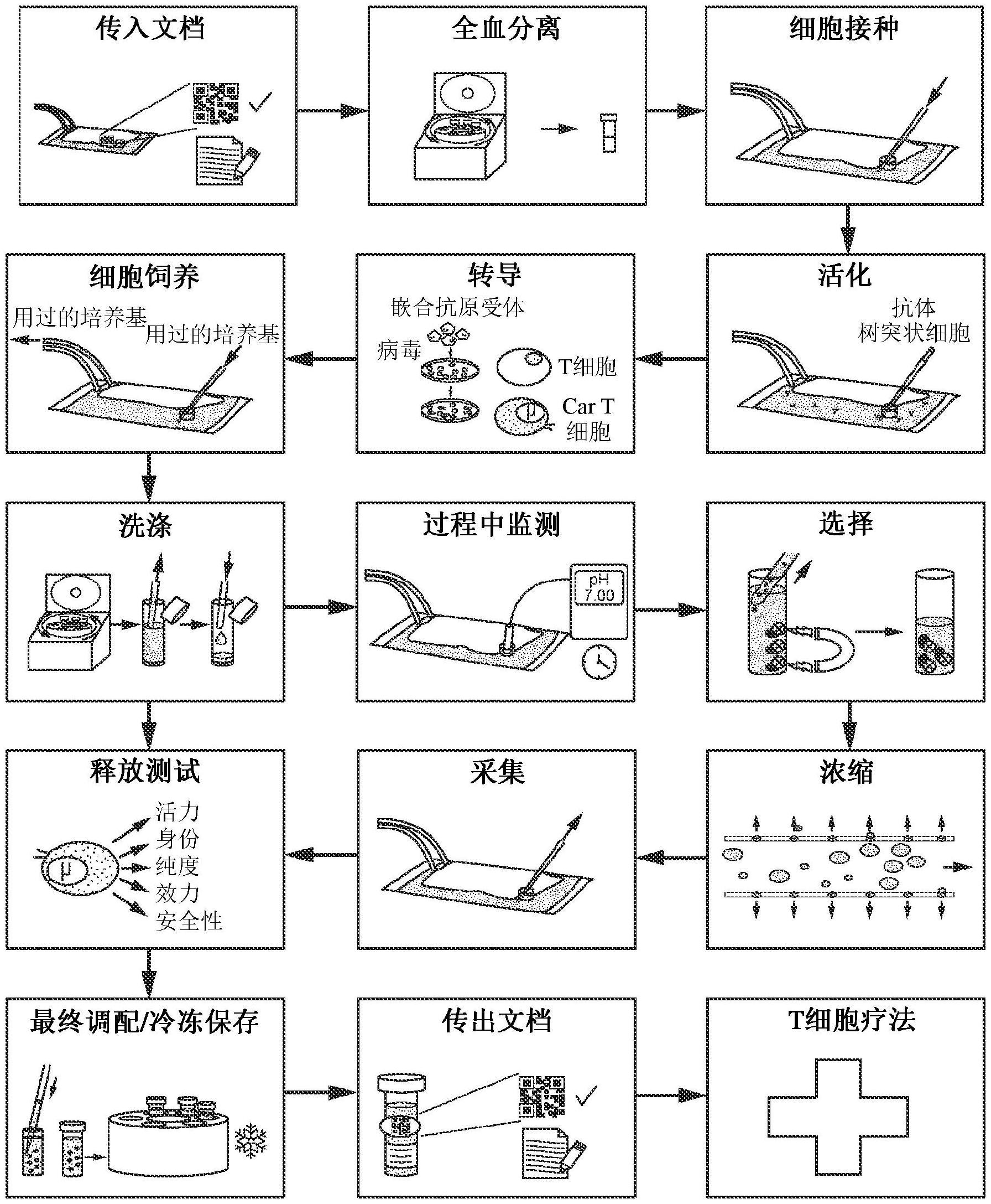 用于自动化细胞工程系统的无菌采样方法和装置与流程