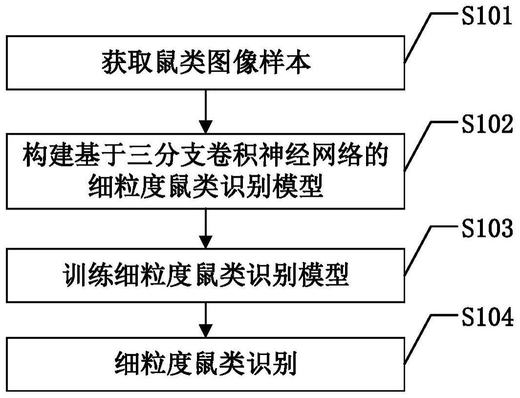 基于卷积神经网络的细粒度鼠类识别方法