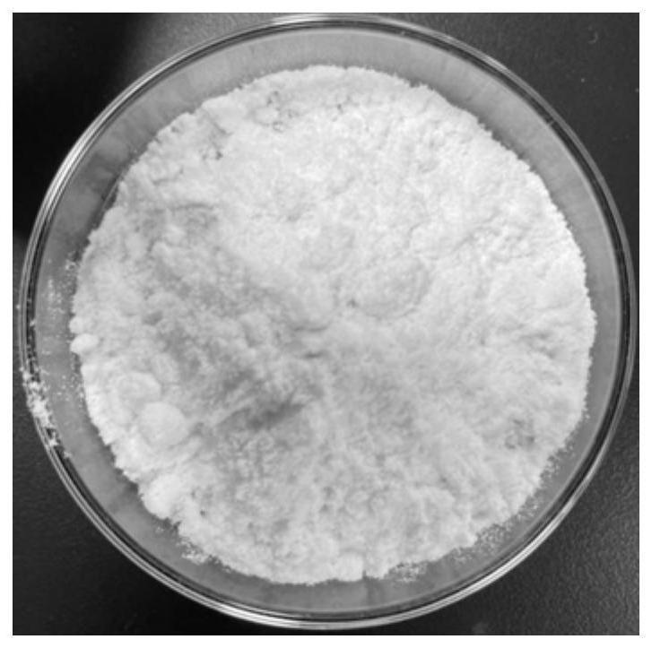一种固体苹果酸尼古丁盐的制备方法与流程