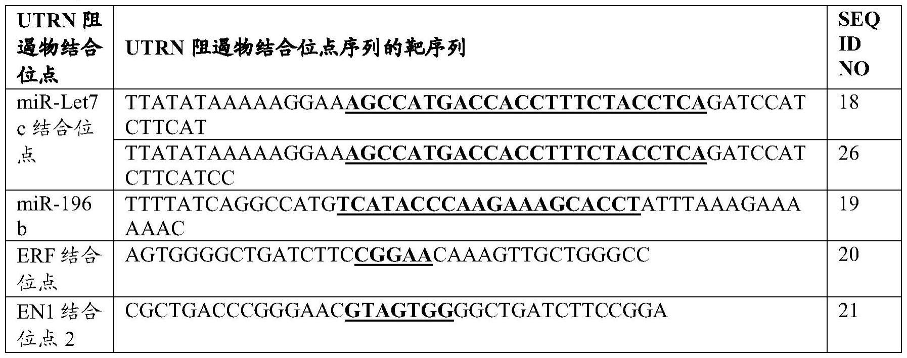 通过诱导抗肌萎缩蛋白相关蛋白调节元件内的突变增强细胞中抗肌萎缩蛋白相关蛋白表达及其治疗用途