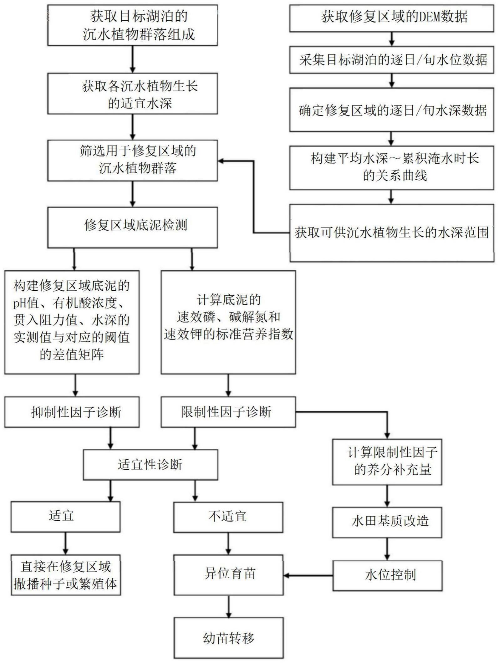 基于自然恢复适宜性诊断的湖泊沉水植物群落修复方法与流程