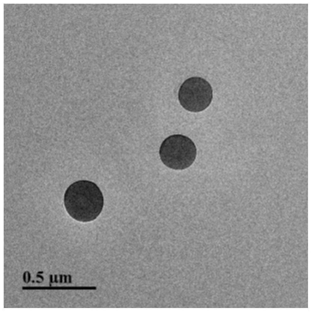 一种硼替佐米基小分子纳米药物及其制备方法和应用与流程