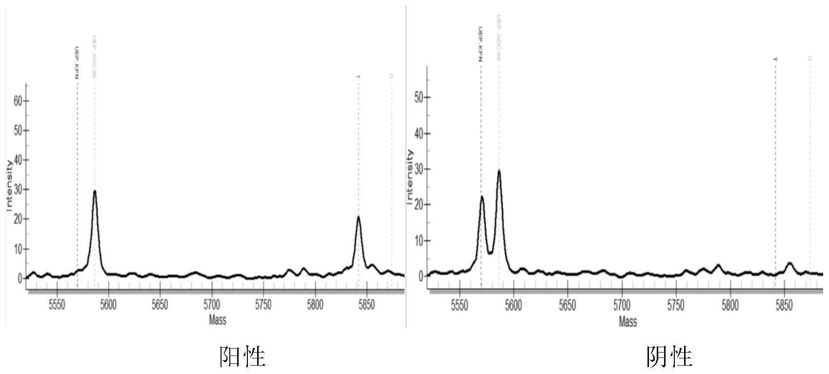 一种同时检测4种肠杆菌科细菌和8种耐碳青霉烯基因的核酸质谱方法和试剂盒