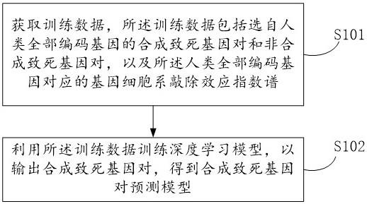 合成致死基因对预测模型的训练方法、装置和电子设备与流程