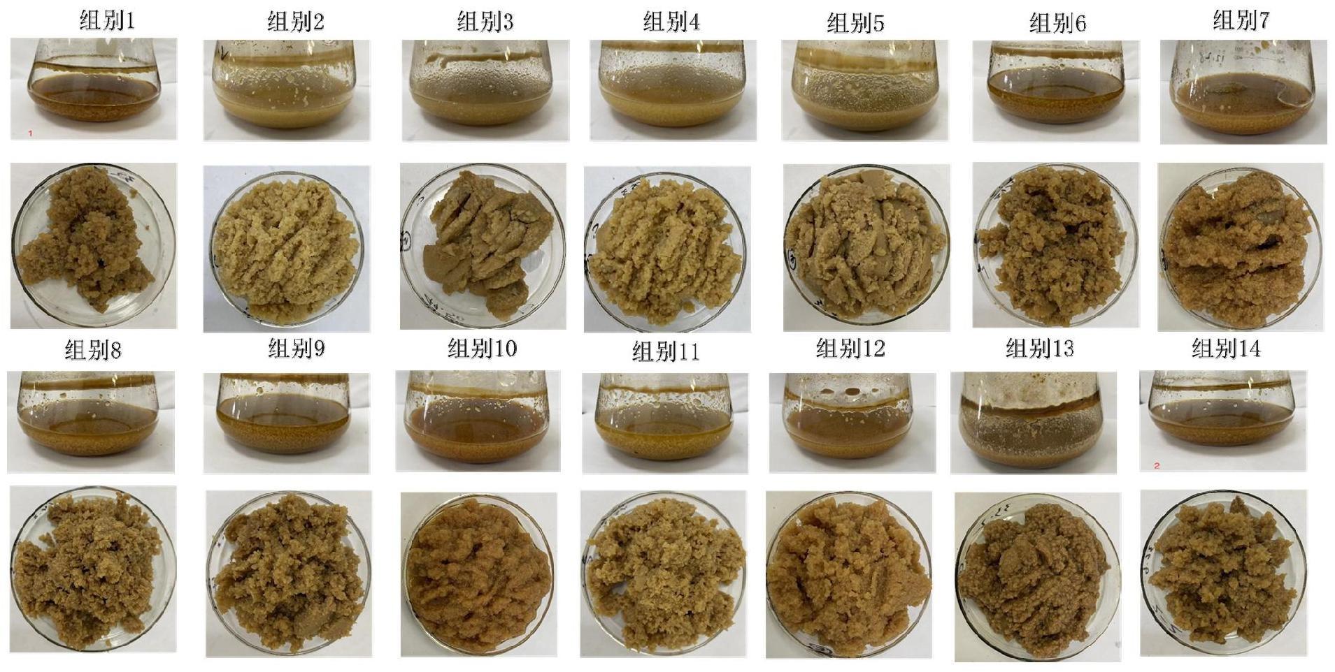 一种连续发酵制备豆渣菌体蛋白饲料的方法