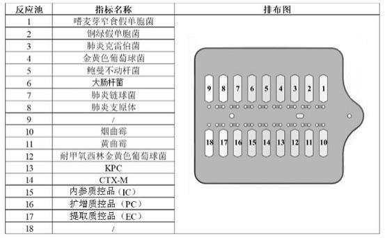 用于多重呼吸道病原菌和耐药基因检测的引物探针组合物、试剂盒的制作方法