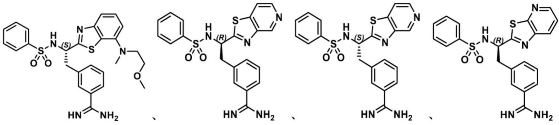 3-(2-(苯并[D]噻唑-2-基)-2-(苯基磺酰氨基)乙基)苯甲酰胺衍生物和相关化合物作为TMPRSS2抑制剂用于治疗病毒感染的制作方法