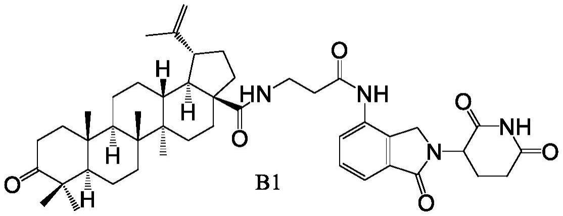 白桦脂酸的PROTACs化合物及其制备方法和应用