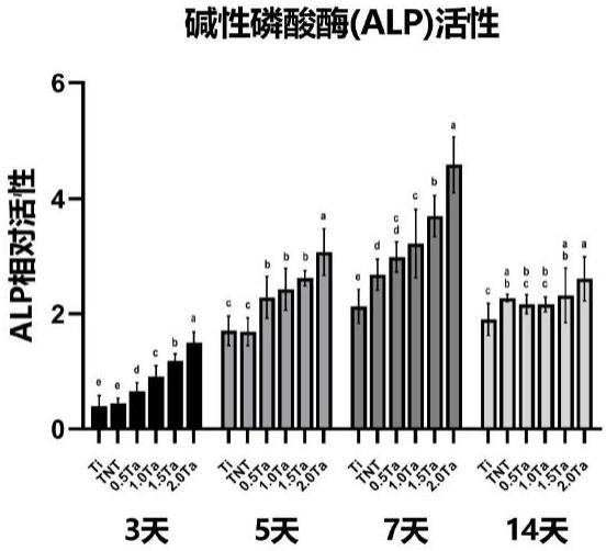 一种Ta离子掺杂二氧化钛纳米管及其制备方法和应用