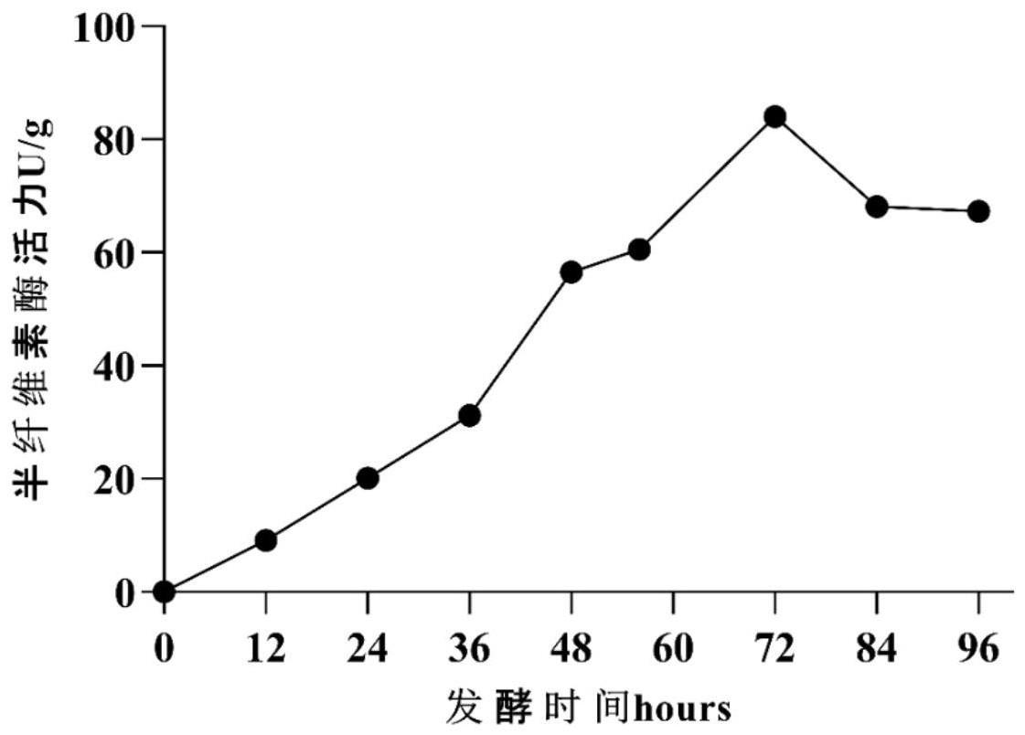 禽源贝莱斯芽孢杆菌CL-4在发酵玉米DDGS降解半纤维素和生产半纤维素酶中的应用