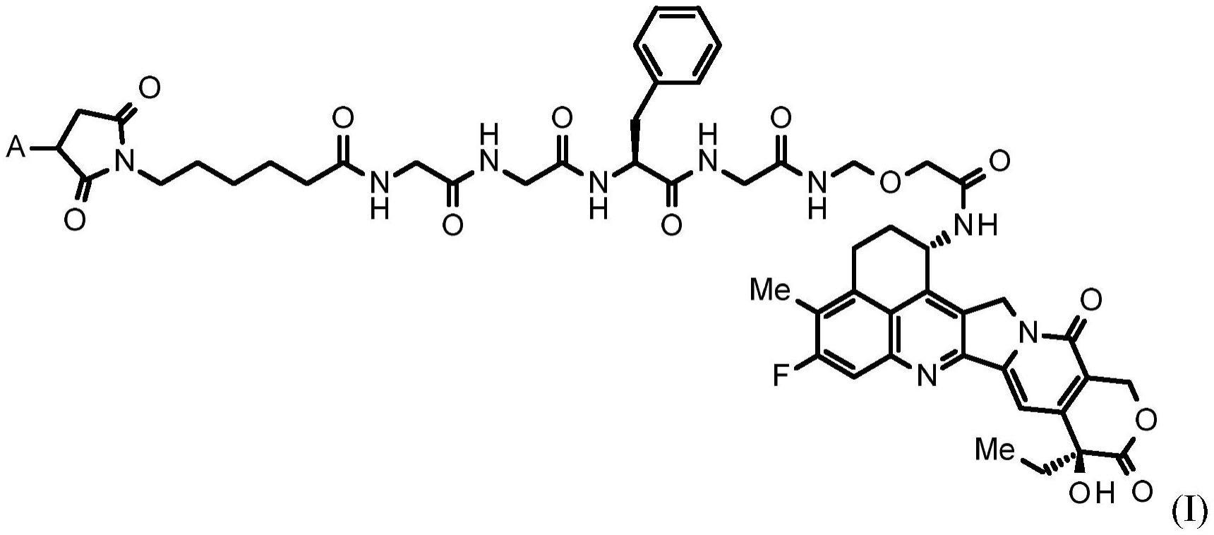 抗体-药物缀合物和PARP1选择性抑制剂的组合的制作方法