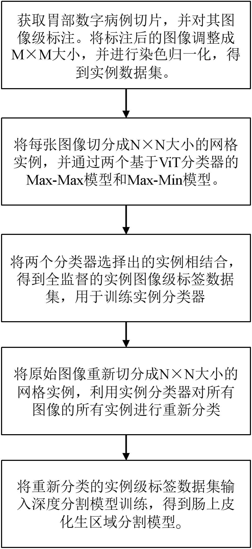 一种基于多实例学习的肠上皮化生区域图像分割系统