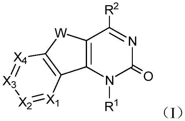 具有MAT2A抑制活性的嘧啶-2(1H)-酮并二环类化合物及其用途的制作方法