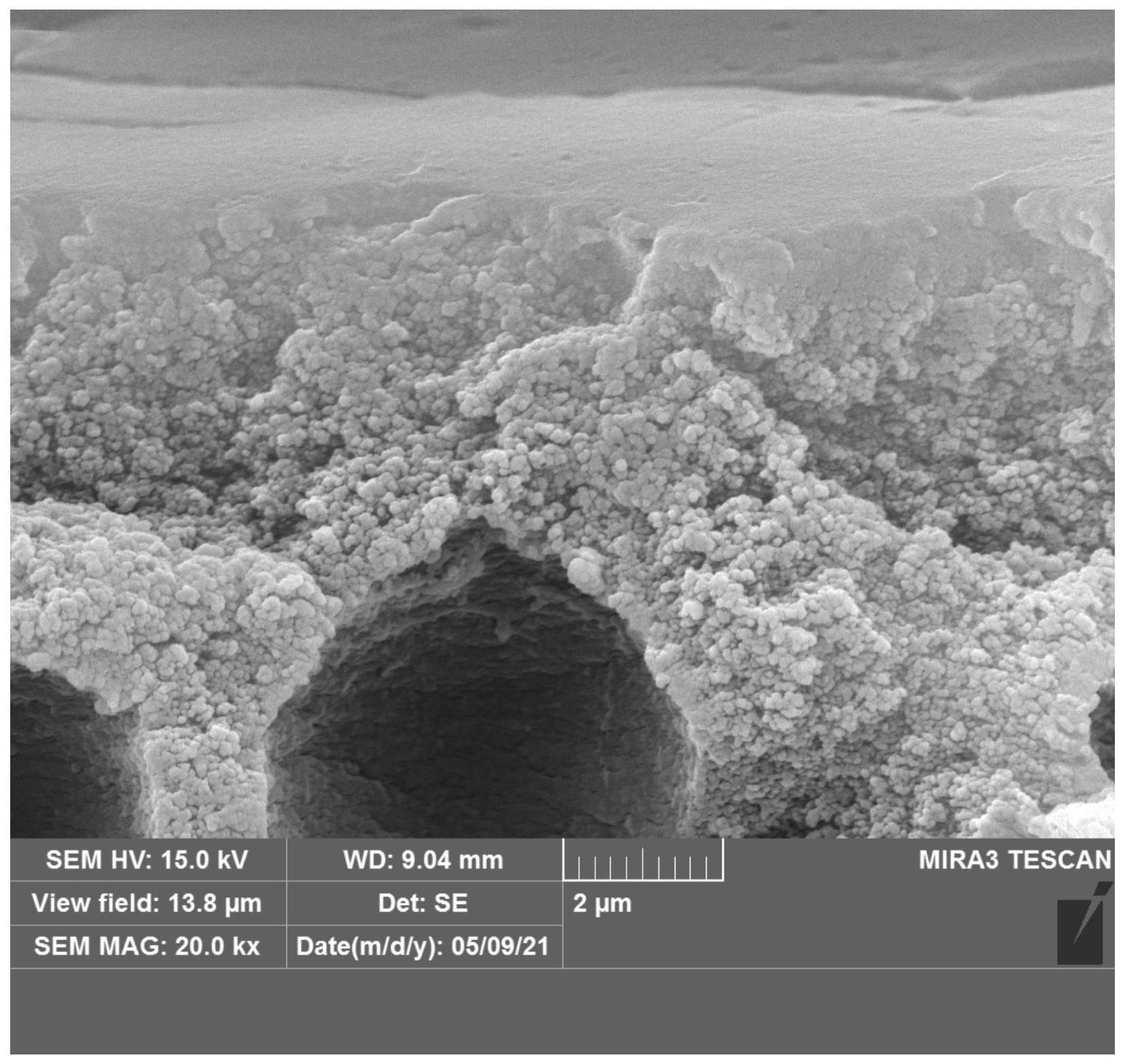 液化花生壳的制备方法、复合纳滤膜及其制备方法