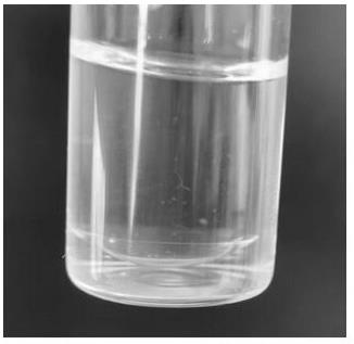 一种硅水凝胶与水凝胶组合角膜接触镜及其制造方法与流程