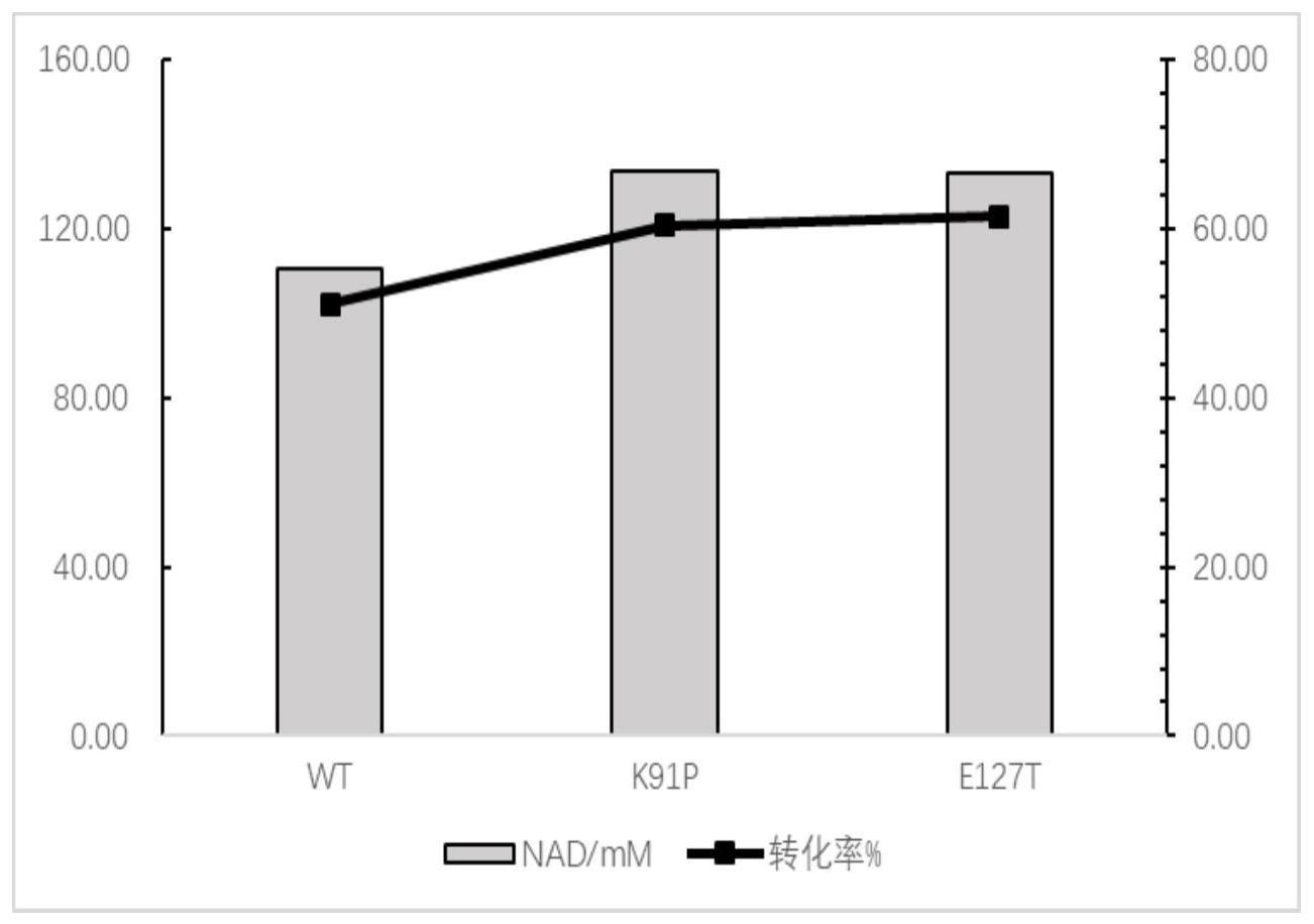 烟酰胺单核苷酸腺苷转移酶突变体及其方法和用途与流程