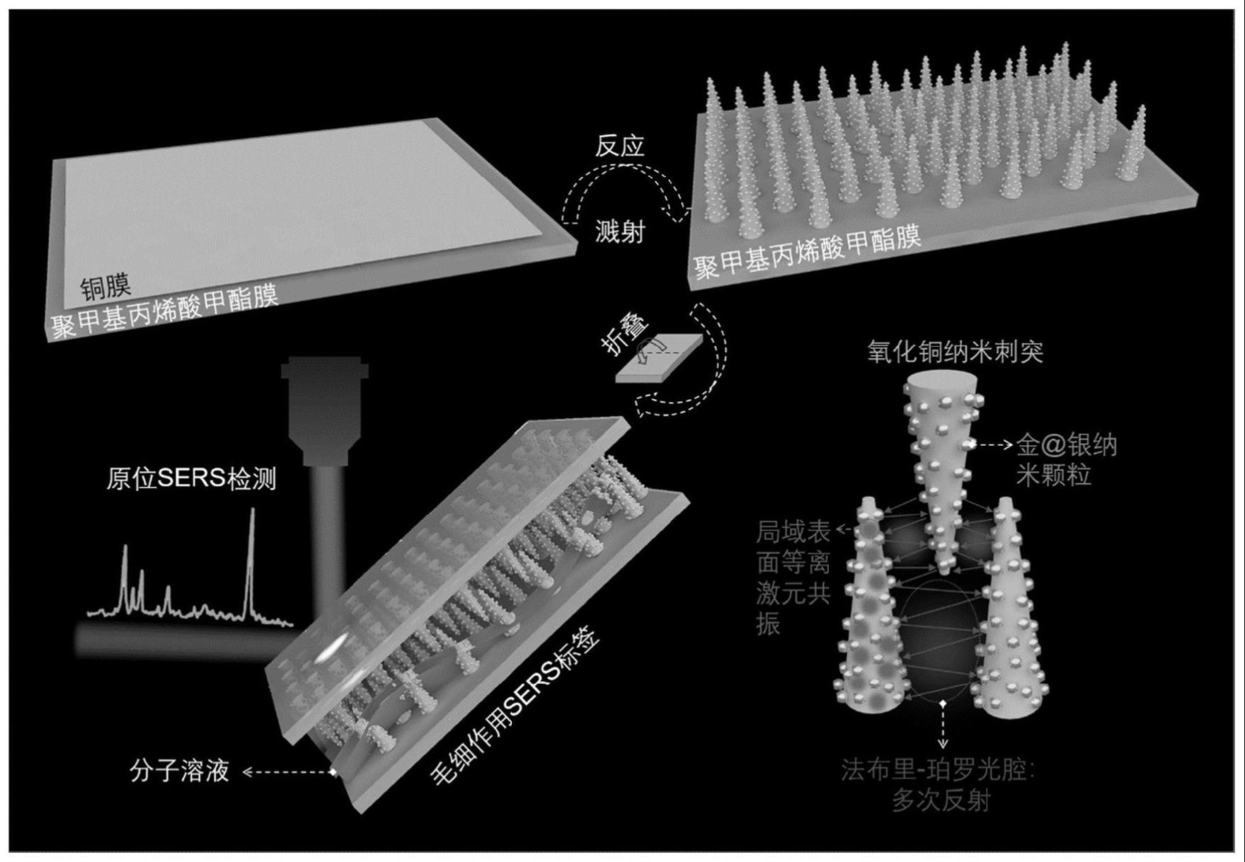 一种法布里-珀罗光腔和局域表面等离激元共振耦合作用的SERS标签及其制备方法与应用