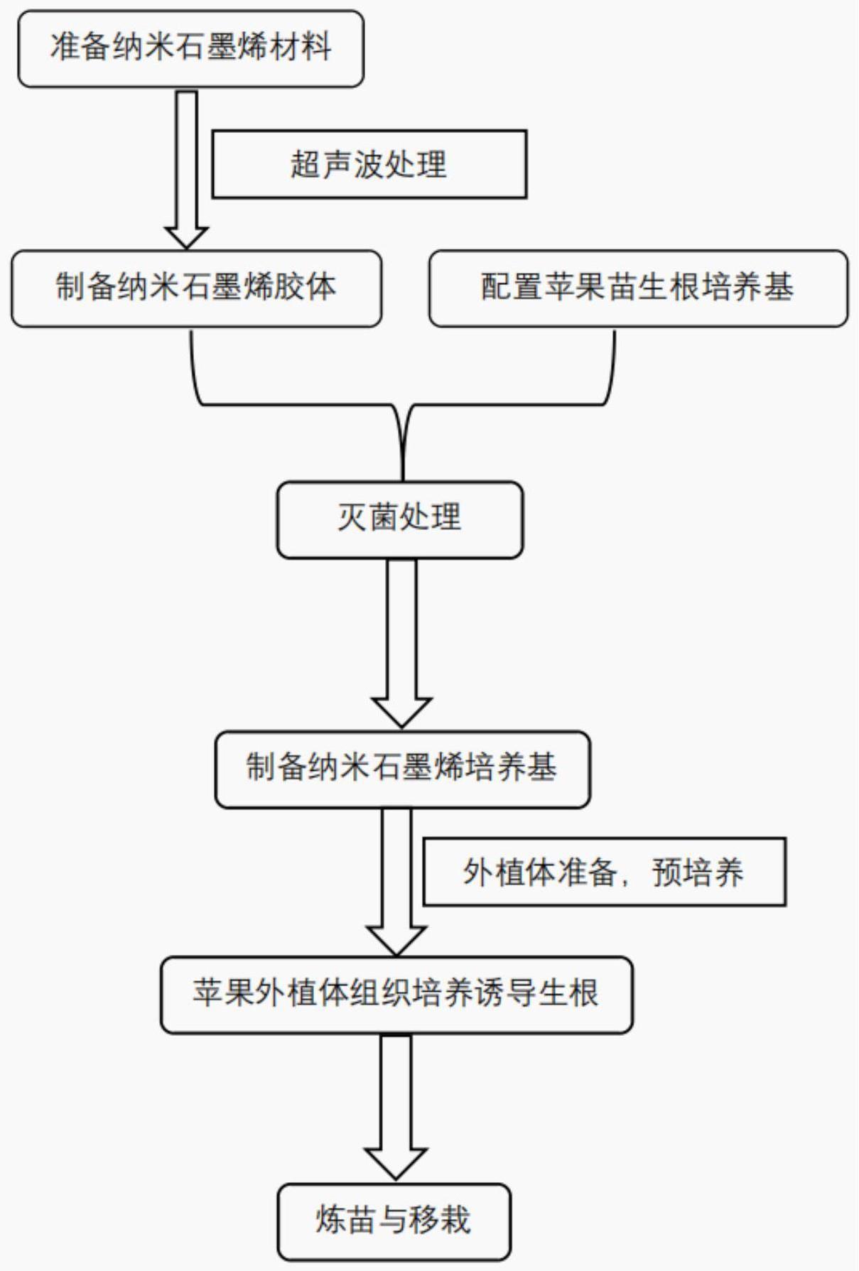 一种纳米石墨烯生根培养基及其制备方法与应用与流程