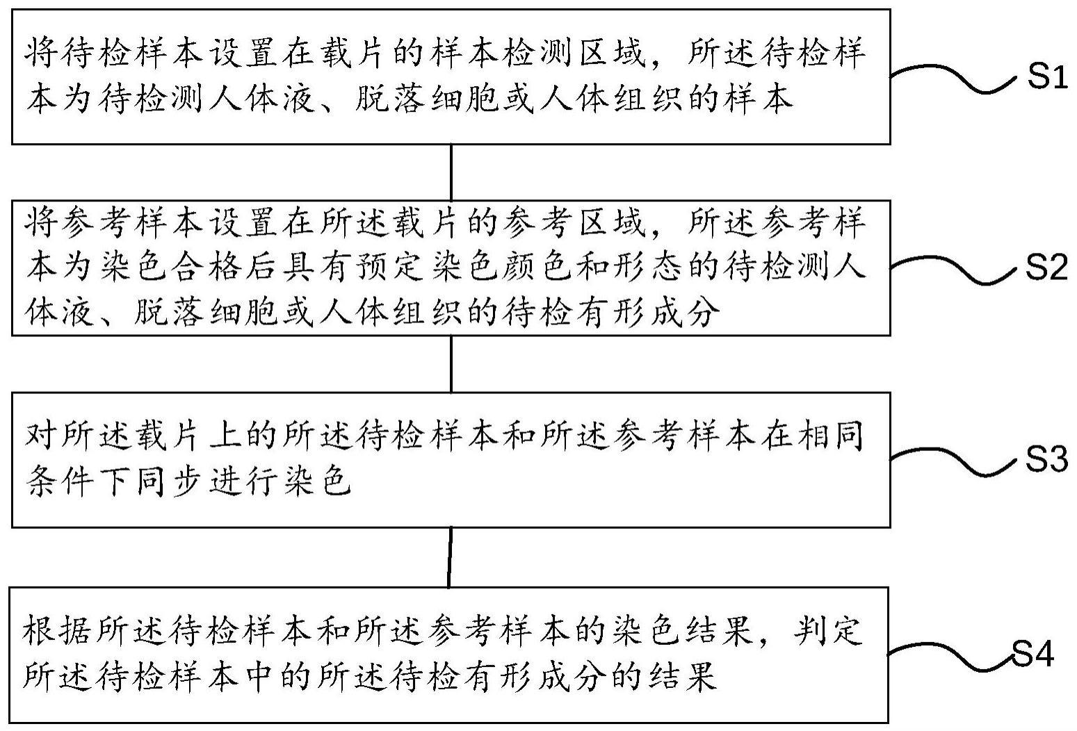 利用制样器制样进行形态学检测的方法与流程