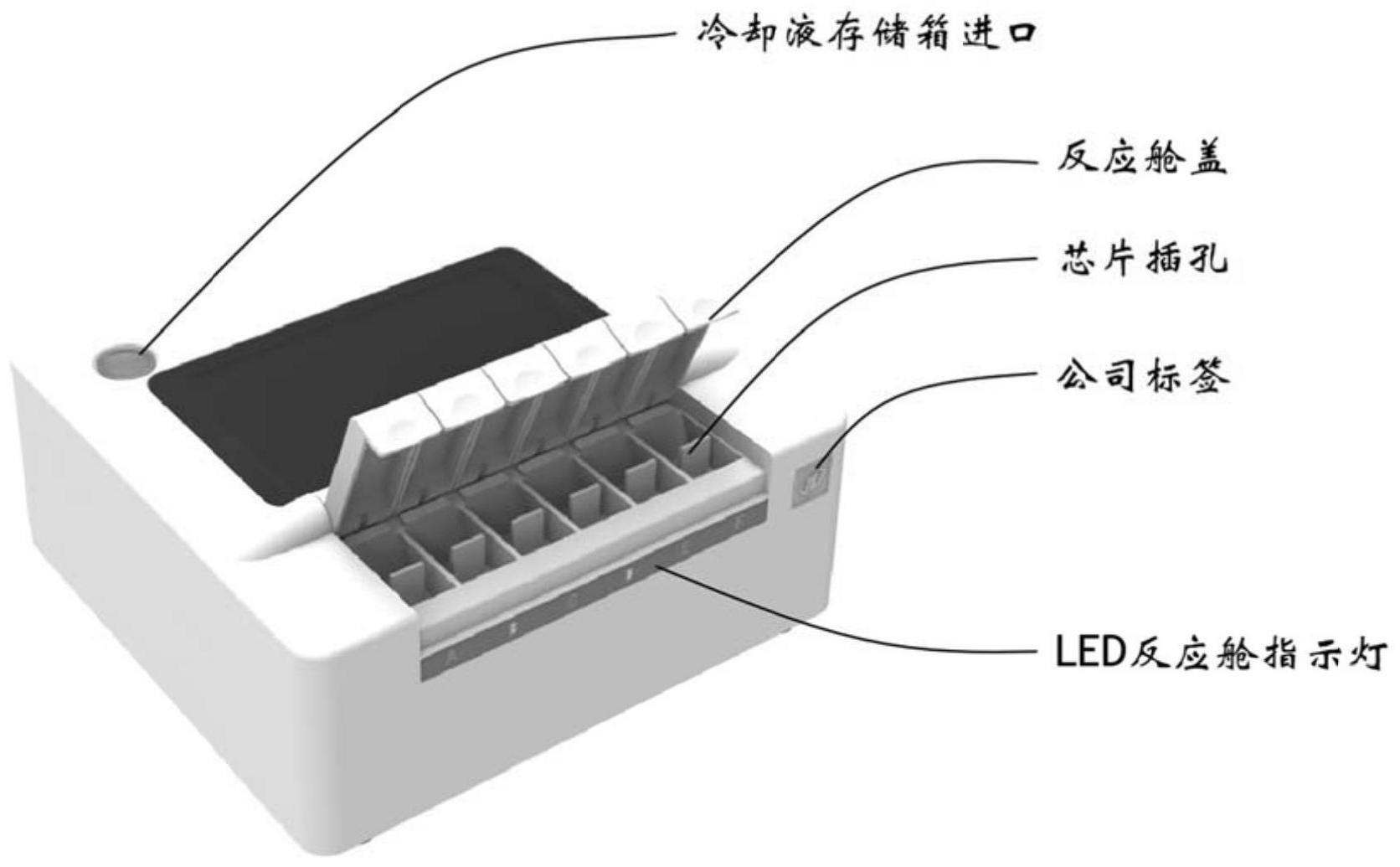 一种快速芯片式的支原体检测方法与流程