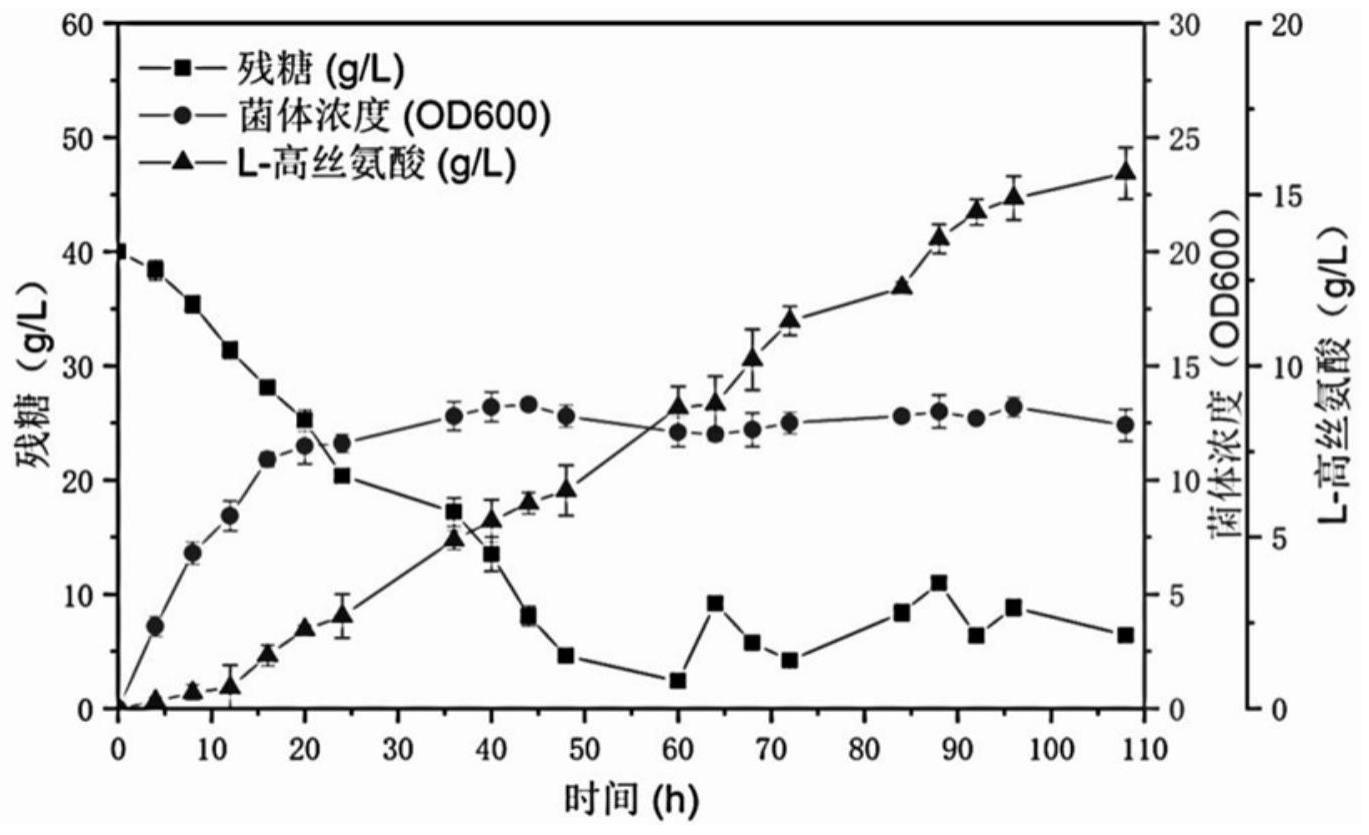 一种重组大肠杆菌生产L-高丝氨酸的发酵工艺
