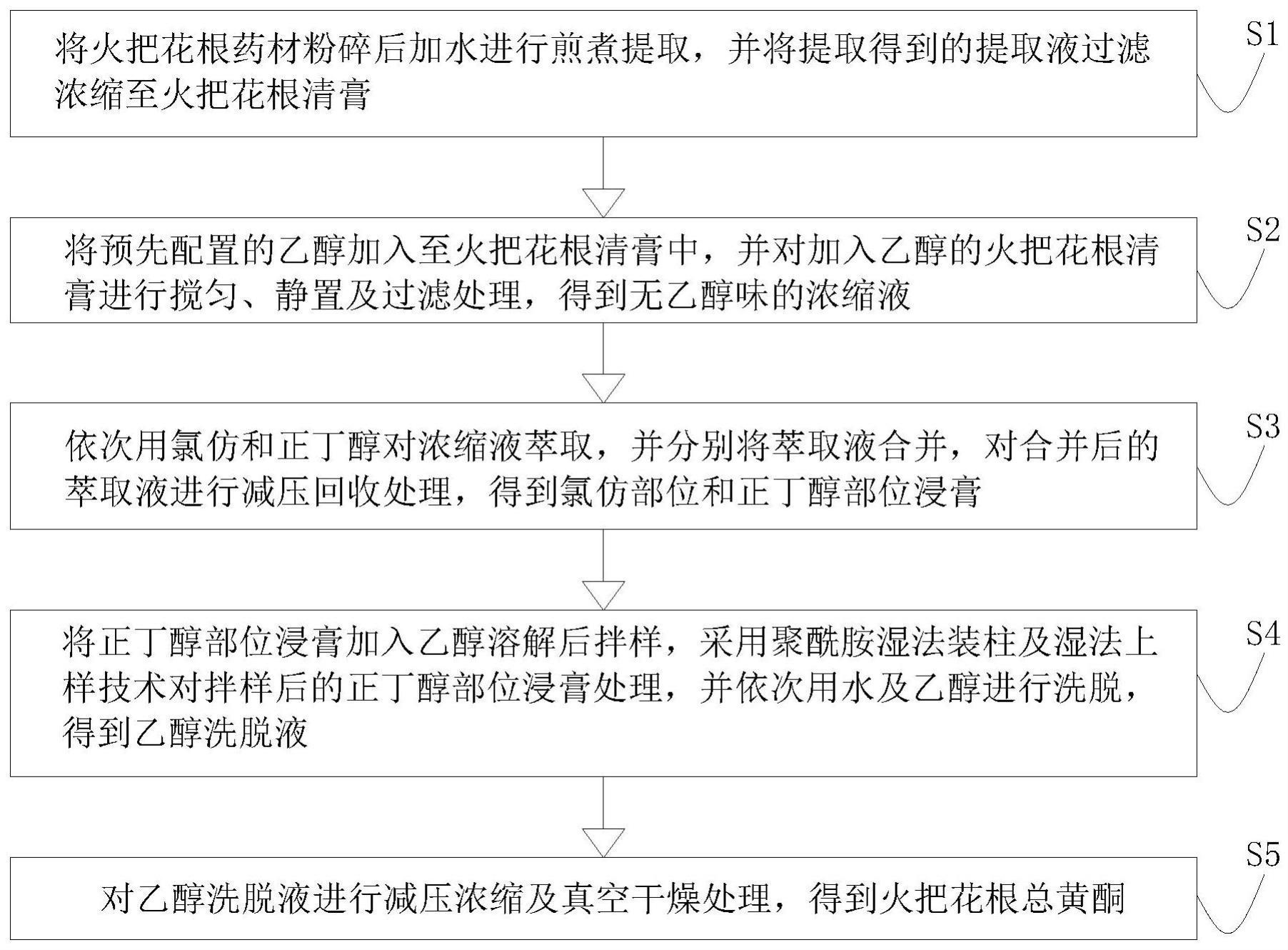 一种火把花根中主要活性成分提取方法及在制备膜性肾病药物中的应用与流程