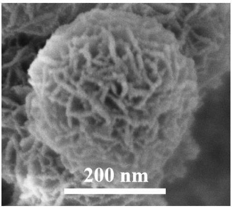 一种stober法制备花状分级多孔纳米二氧化钛的方法